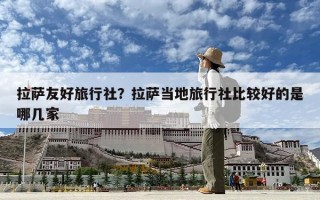 拉薩友好旅行社？拉薩當(dāng)?shù)芈眯猩绫容^好的是哪幾家