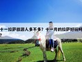 十一拉薩旅游人多不多？十一月的拉薩好玩嗎?