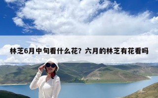 林芝6月中旬看什么花？六月的林芝有花看嗎