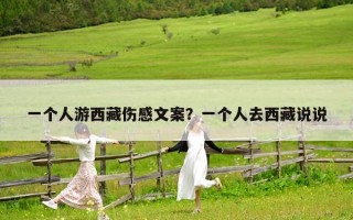 一個人游西藏傷感文案？一個人去西藏說說
