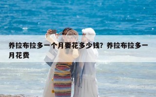 養拉布拉多一個月要花多少錢？養拉布拉多一月花費