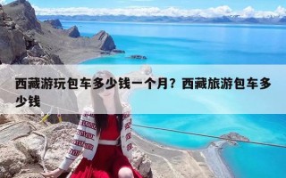 西藏游玩包車多少錢一個月？西藏旅游包車多少錢