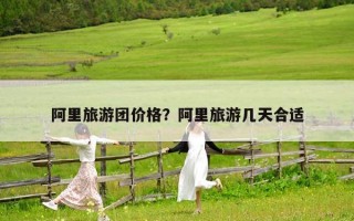 阿里旅游團價格？阿里旅游幾天合適