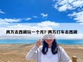 兩萬去西藏玩一個(gè)月？兩萬打車去西藏