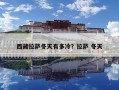 西藏拉薩冬天有多冷？拉薩 冬天
