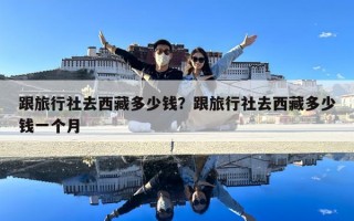 跟旅行社去西藏多少錢？跟旅行社去西藏多少錢一個月