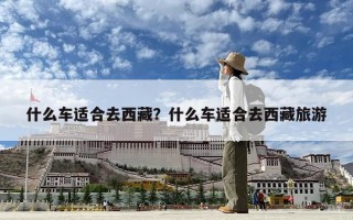 什么車適合去西藏？什么車適合去西藏旅游
