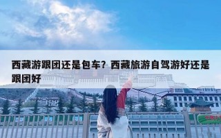 西藏游跟團還是包車？西藏旅游自駕游好還是跟團好