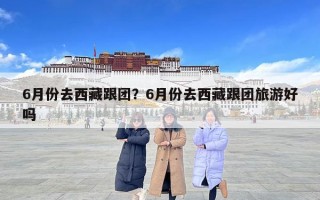 6月份去西藏跟團(tuán)？6月份去西藏跟團(tuán)旅游好嗎