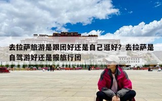 去拉薩旅游是跟團好還是自己逛好？去拉薩是自駕游好還是報旅行團