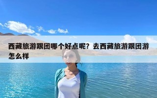 西藏旅游跟團哪個好點呢？去西藏旅游跟團游怎么樣