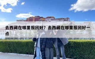 去西藏在哪里報團好？去西藏在哪里報團好一點