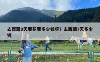 去西藏8天要花費多少錢呀？去西藏7天多少錢
