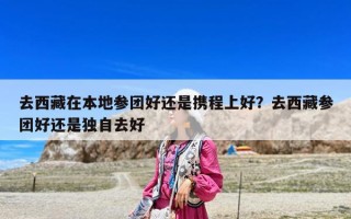 去西藏在本地參團好還是攜程上好？去西藏參團好還是獨自去好