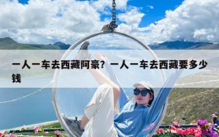 一人一車去西藏阿豪？一人一車去西藏要多少錢
