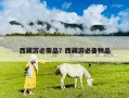 西藏游必需品？西藏游必備物品