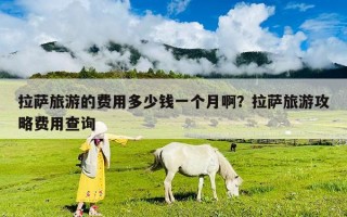 拉薩旅游的費(fèi)用多少錢(qián)一個(gè)月啊？拉薩旅游攻略費(fèi)用查詢