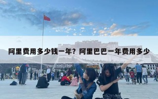 阿里費用多少錢一年？阿里巴巴一年費用多少