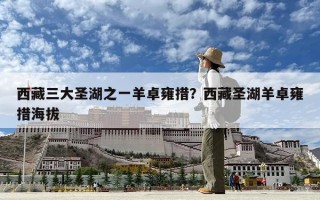西藏三大圣湖之一羊卓雍措？西藏圣湖羊卓雍措海拔