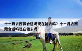 十一月去西藏合適嗎現(xiàn)在能去嗎？十一月去西藏合適嗎現(xiàn)在能去嗎