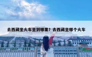 去西藏坐火車坐到哪里？去西藏坐哪個(gè)火車