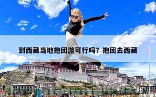 到西藏當?shù)乇F游可行嗎？抱團去西藏