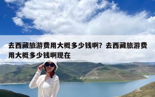 去西藏旅游費用大概多少錢啊？去西藏旅游費用大概多少錢啊現在