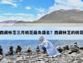 西藏林芝三月桃花最負(fù)盛名？西藏林芝的桃花