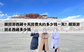 跟團(tuán)游西藏十天團(tuán)費(fèi)大約多少錢一天？跟旅游團(tuán)去西藏多少錢