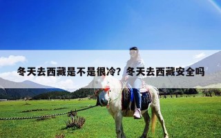 冬天去西藏是不是很冷？冬天去西藏安全嗎