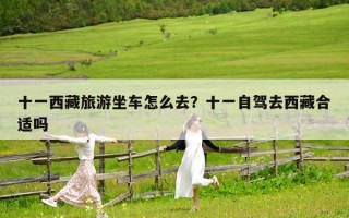 十一西藏旅游坐車怎么去？十一自駕去西藏合適嗎