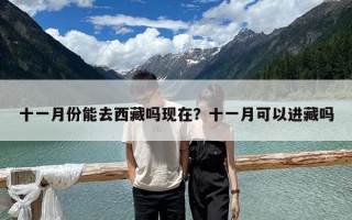 十一月份能去西藏嗎現(xiàn)在？十一月可以進(jìn)藏嗎