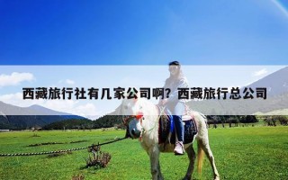 西藏旅行社有幾家公司啊？西藏旅行總公司