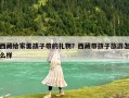 西藏給家里孩子帶的禮物？西藏帶孩子旅游怎么樣