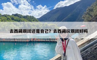 去西藏跟團(tuán)還是自己？去西藏玩跟團(tuán)好嗎