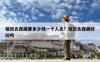 報團去西藏要多少錢一個人去？報團去西藏好玩嗎