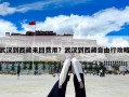 武漢到西藏來回費用？武漢到西藏自由行攻略