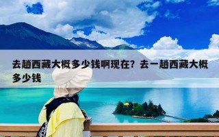 去趟西藏大概多少錢啊現在？去一趟西藏大概多少錢