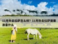 11月份去拉薩怎么樣？11月份去拉薩需要準備什么