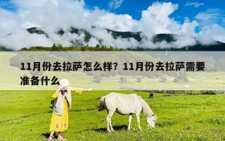 11月份去拉薩怎么樣？11月份去拉薩需要準備什么