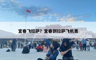 宜春飛拉薩？宜春到拉薩飛機票