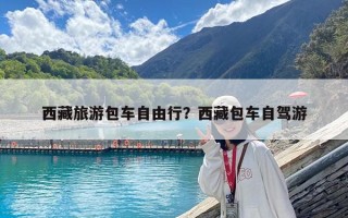 西藏旅游包車(chē)自由行？西藏包車(chē)自駕游