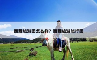 西藏旅游團(tuán)怎么樣？西藏旅游旅行團(tuán)