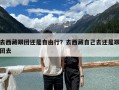 去西藏跟團還是自由行？去西藏自己去還是跟團去