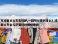 從成都坐火車(chē)去拉薩,一路可以看到什么？成都火車(chē)去拉薩要經(jīng)過(guò)哪些地貌