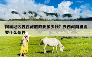 阿里地區去西藏旅游要多少錢？去西藏阿里需要什么條件