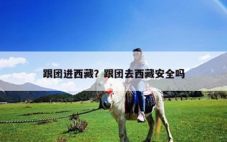 跟團(tuán)進(jìn)西藏？跟團(tuán)去西藏安全嗎