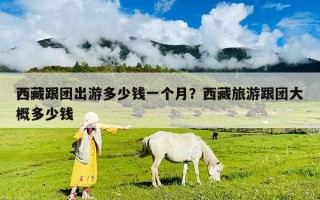 西藏跟團出游多少錢一個月？西藏旅游跟團大概多少錢