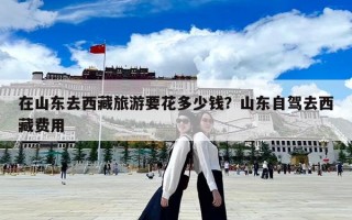 在山東去西藏旅游要花多少錢？山東自駕去西藏費用