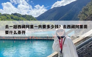去一趟西藏阿里一共要多少錢？去西藏阿里需要什么條件